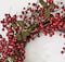 Worth Imports 22" Red Holly Berry and Green Leaves Artificial Christmas Wreath on Natural Twig Base
